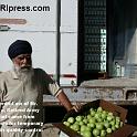 Punjab_Farm-1033- 002